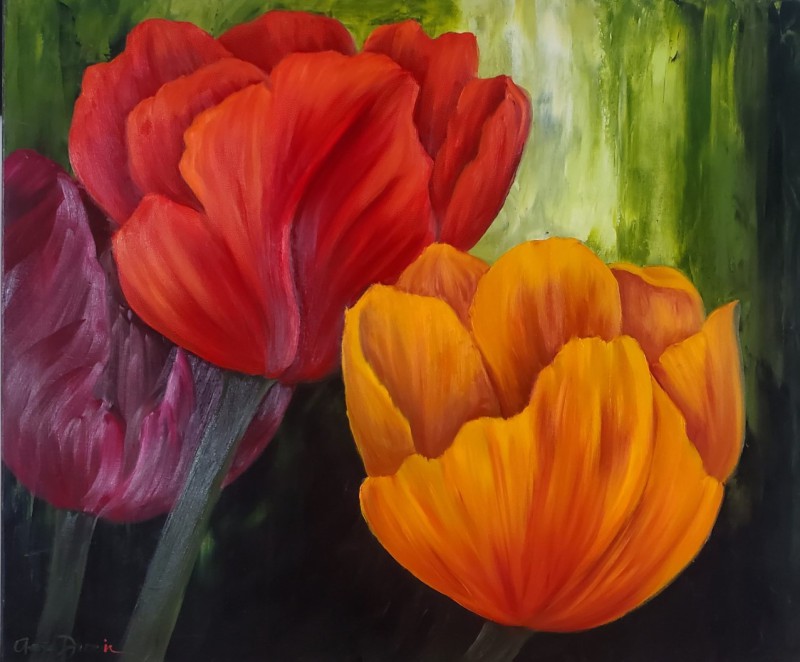 Tulipes perroquet 30 X 36  huile