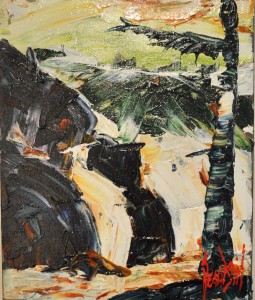 chutes de grand sault