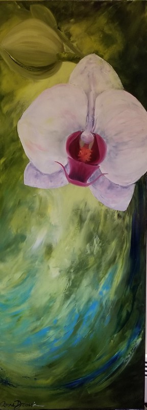 Divine 48 X 18 (1)