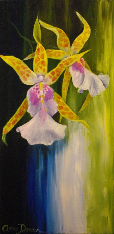 Doux oncidiums