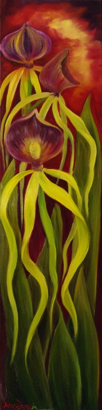 Ballet d'orchidées 48 X 12