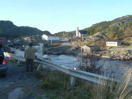 Terre Neuve