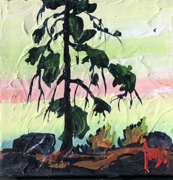 THE PINE