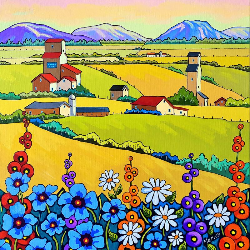 Full sun 16x16