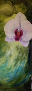 Divine 48 X 18 (1)