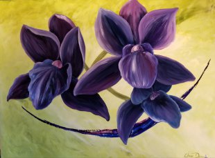 Écloses de nulle part 36 X 48 (1)