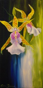Doux oncidiums