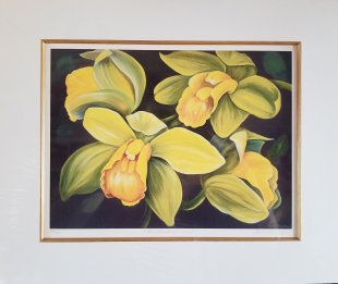 Beautés endormies