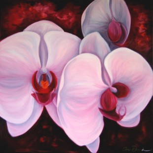 Orchidées de dame