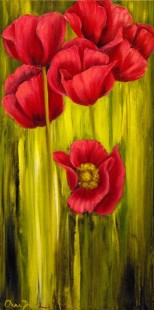 Pavot Rouge-Rose