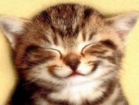 Chat