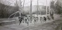 Musher No 16