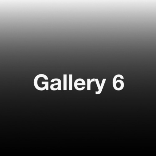 Gallery 6
