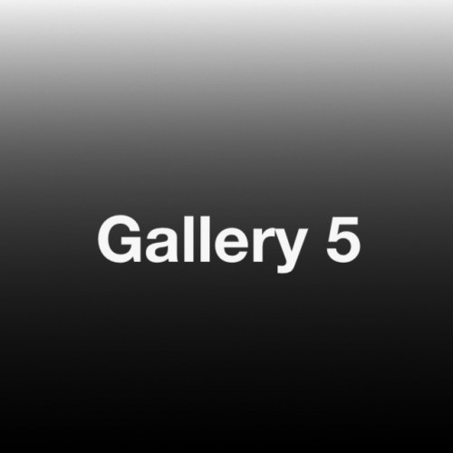 Gallery 5