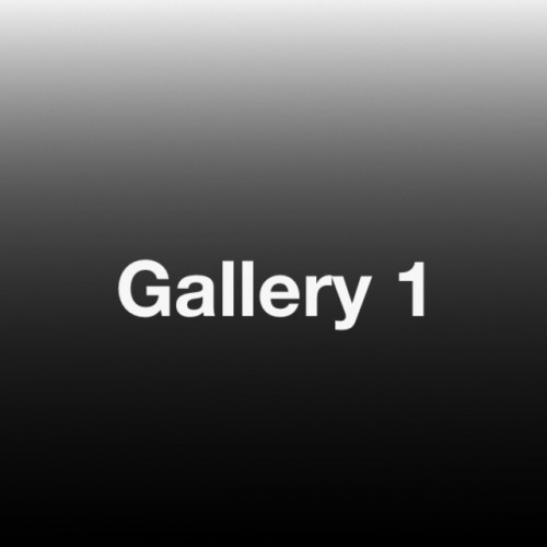 Gallery 1