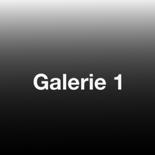 Galerie 1