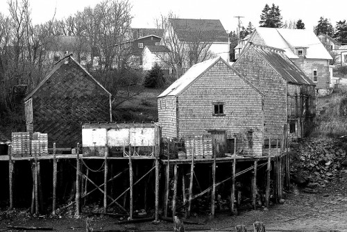 25 octobre au 1 novembre 2013 - Grand Manan